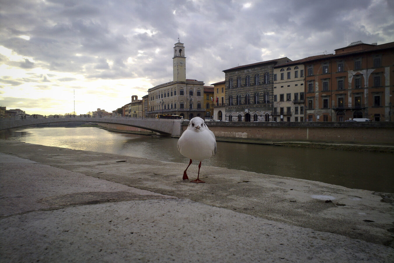 L'Arno.it