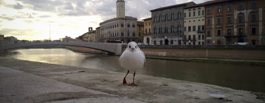 L'Arno.it