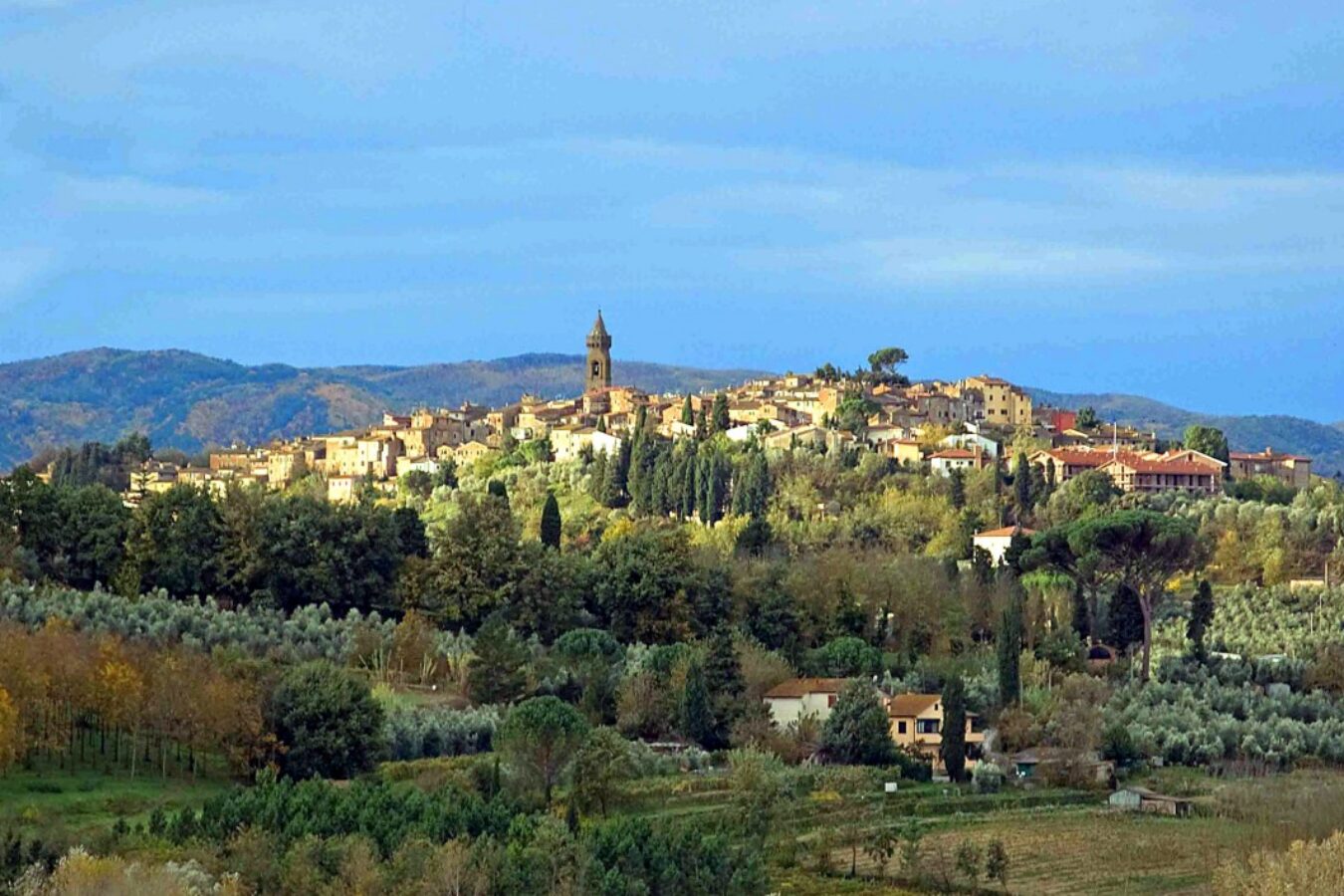 L'Arno.it