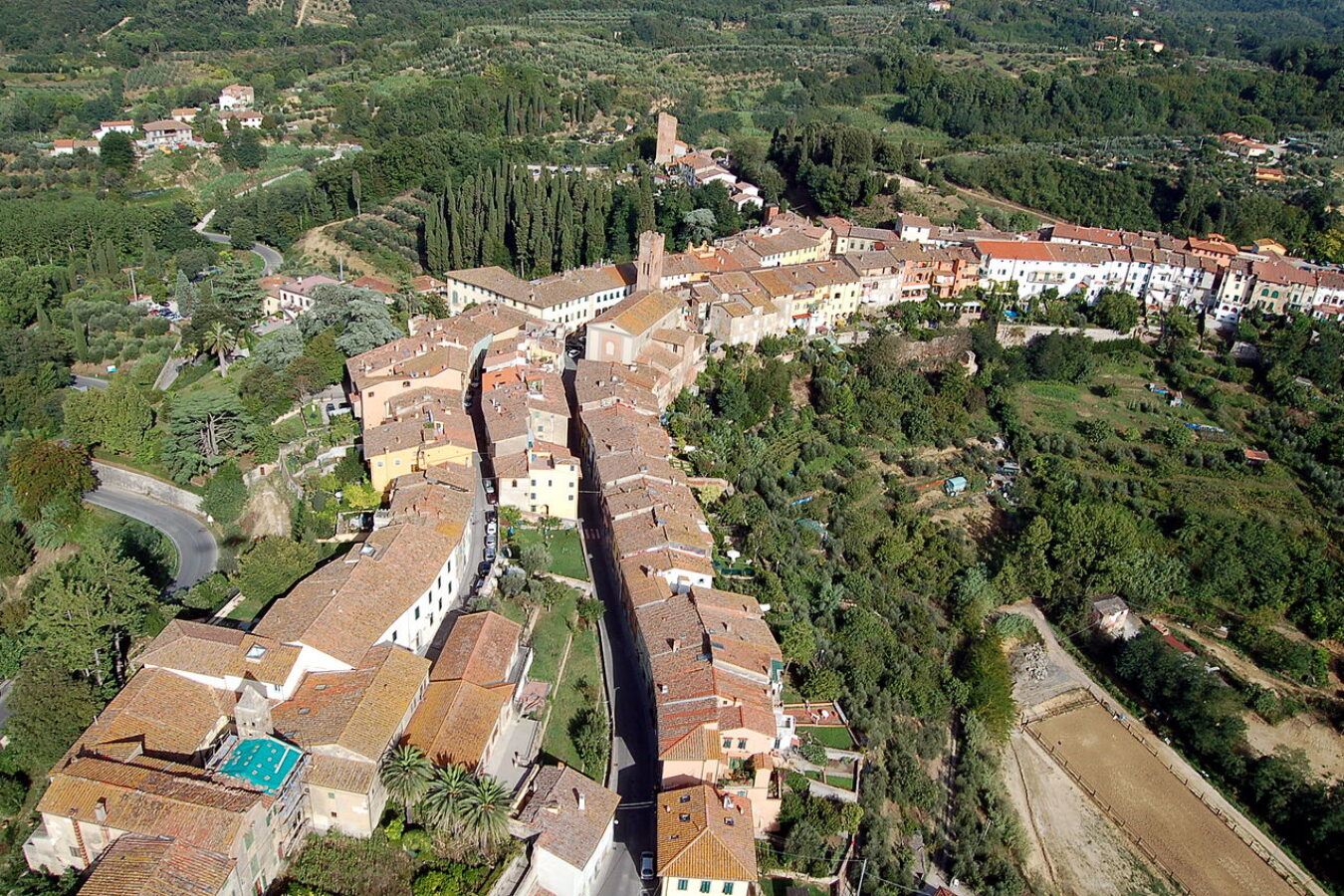 L'Arno.it