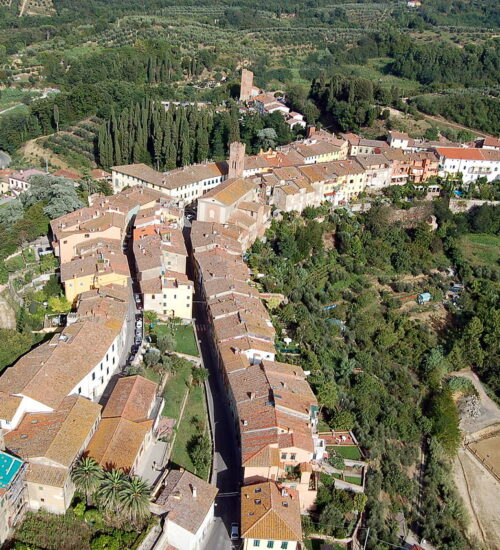 L'Arno.it