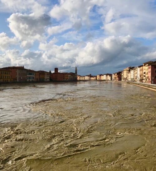 L'Arno.it