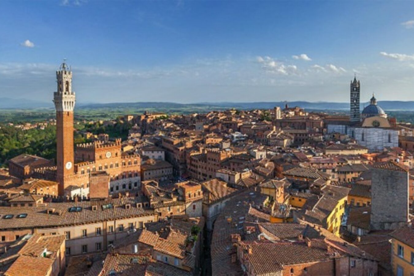 L'Arno.it