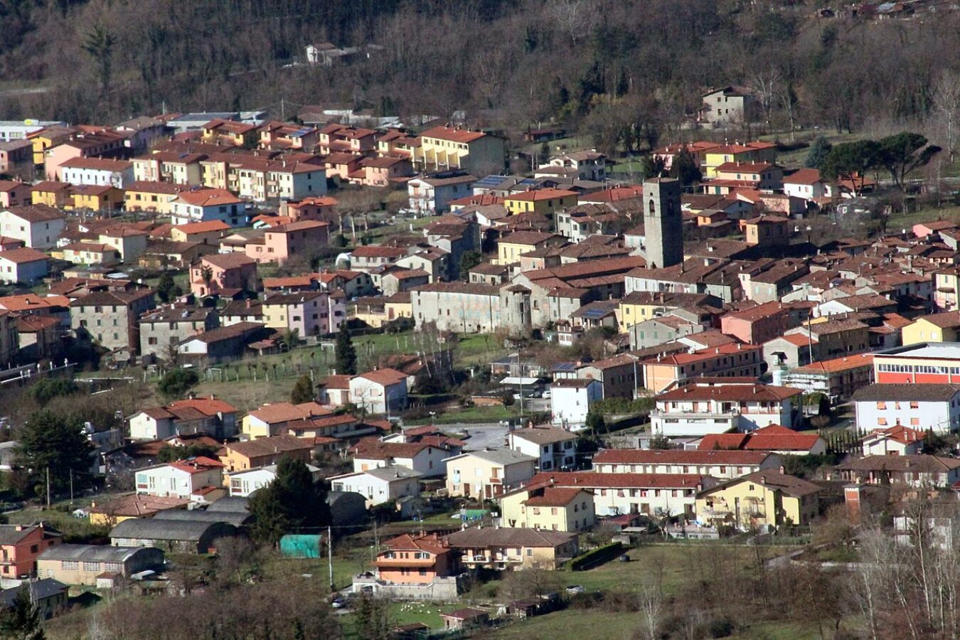 L'Arno.it