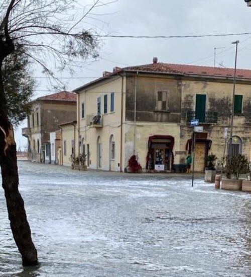 L'Arno.it