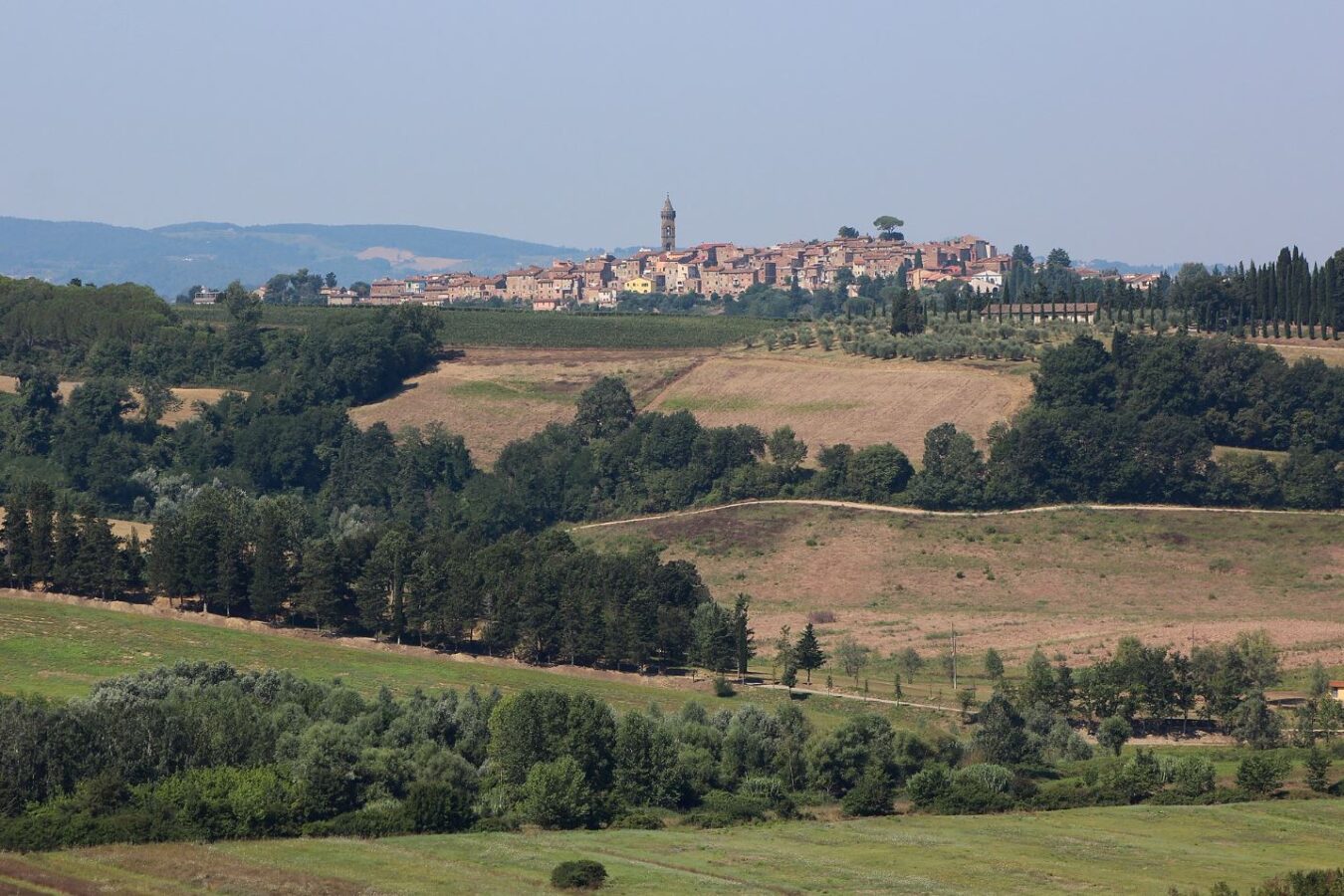 L'Arno.it