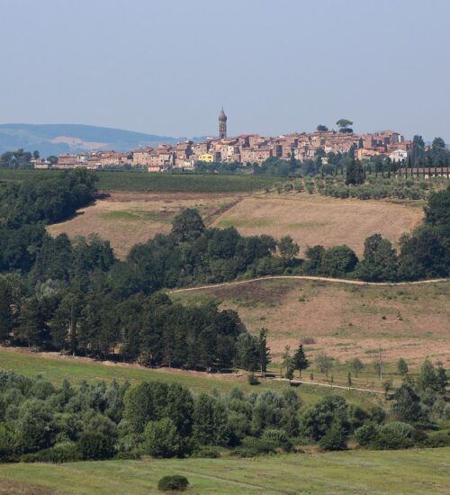 L'Arno.it