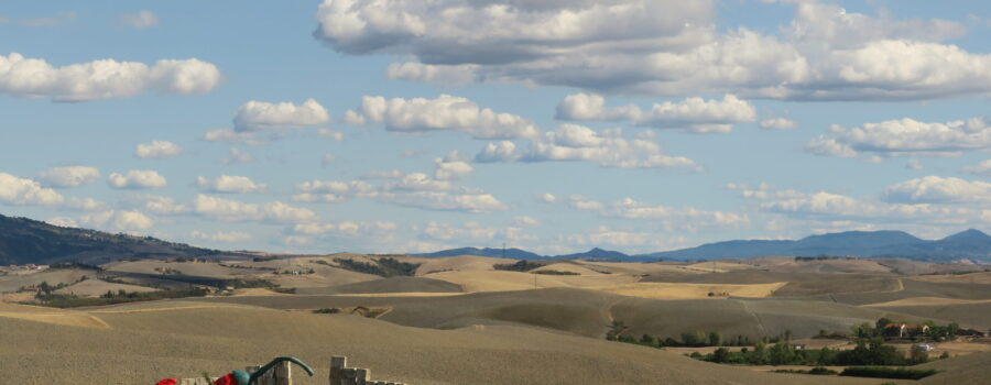 L'Arno.it